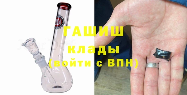молекула духа Богданович