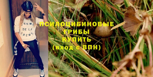 амф Бугульма