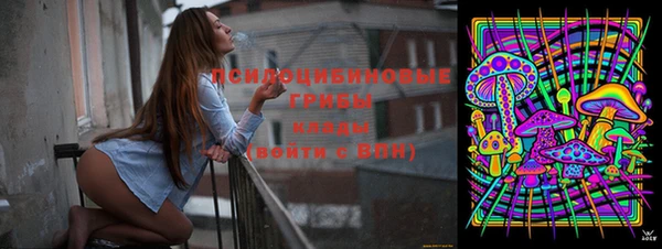 гашиш Бородино
