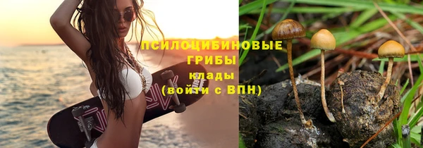 гашиш Бородино