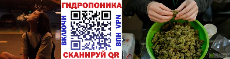 darknet состав  закладки  Вышний Волочёк  Бошки марихуана план 